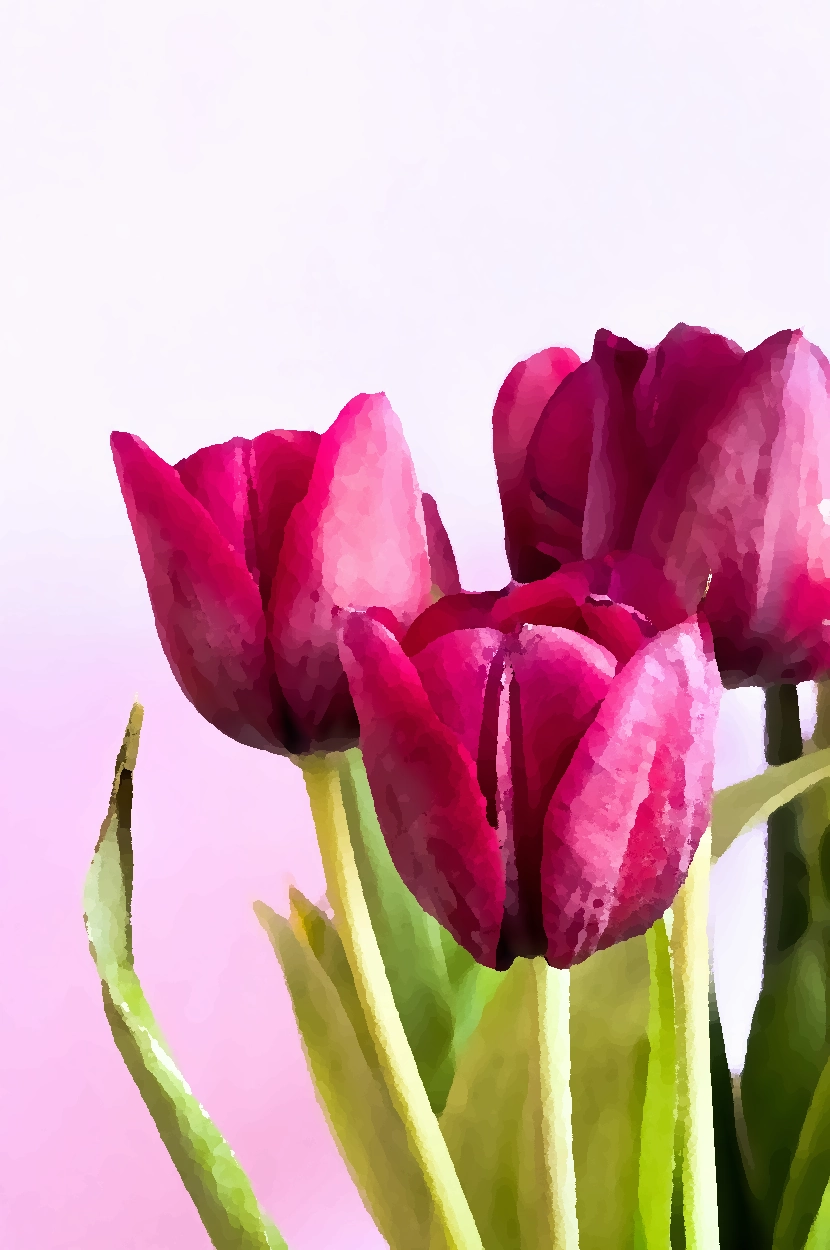 tulips Autobiography Book Cover